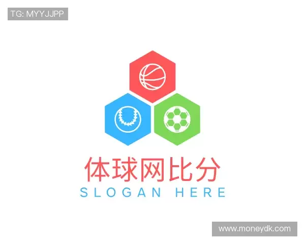 了解体球网比分